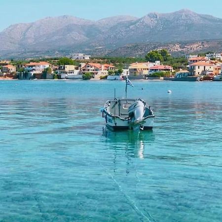 Elia  Κατοικία 80 Τ.Μ. Δίπλα Από Την Θάλασσα Στην Ελιά. מראה חיצוני תמונה